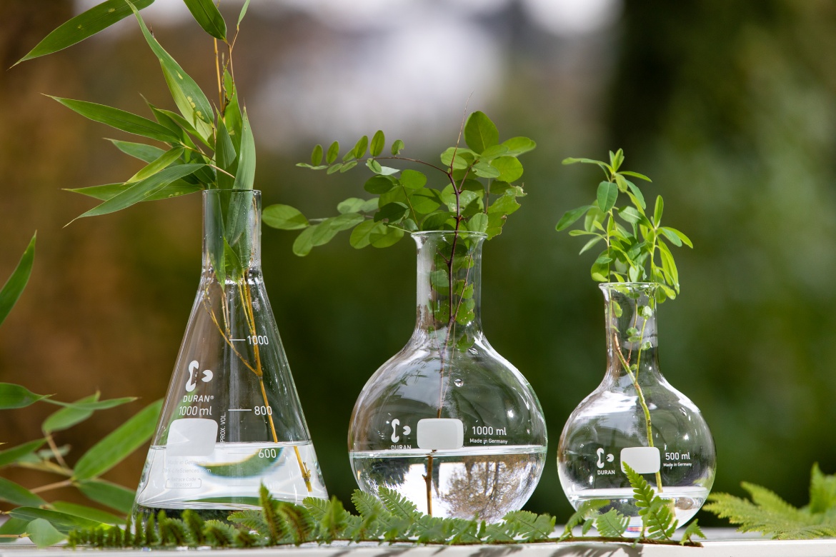 DWK Life Sciences Honored with EcoVadis Bronze for Sustainability Efforts
